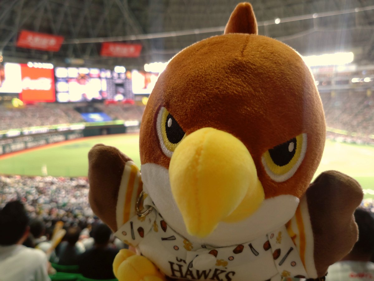 tainari_a's tweet photo. たかほー！！😆 https://t.co/eW01j7NV6m
