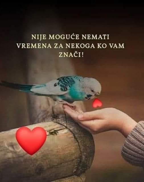 Sanel73's tweet photo. ☝🏻☝🏻 https://t.co/jdcEXEtZ2W