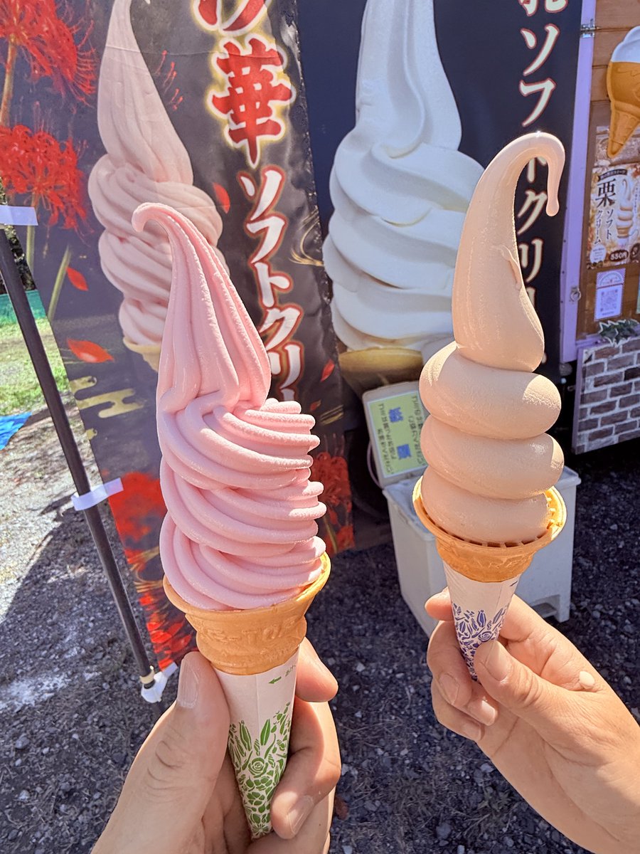 Tadaiwai's tweet photo. 2026.9.22
埼玉県日高市
【巾着田・スイーツ工房 TAMAchan】

行列ができていた人気のソフトクリーム🍦
嫁ちゃんと選んだのは、

⚫︎曼珠沙華ソフトクリーム
⚫︎栗ソフトクリーム

栗ソフトは期待どおり、栗の風味たっぷり！
これは文句なしに美味しい🌰

そして、気になる曼珠沙華ソフト。

ほのかなピンク色で、絞った姿もお花のように華やか🌺

で、何味かと聞かれると……

そもそも曼珠沙華を食べたことがないので、説明が難しい🤣

でも、普通のソフトとはどこか違う味わいで、こちらも美味しかったです！🤣w