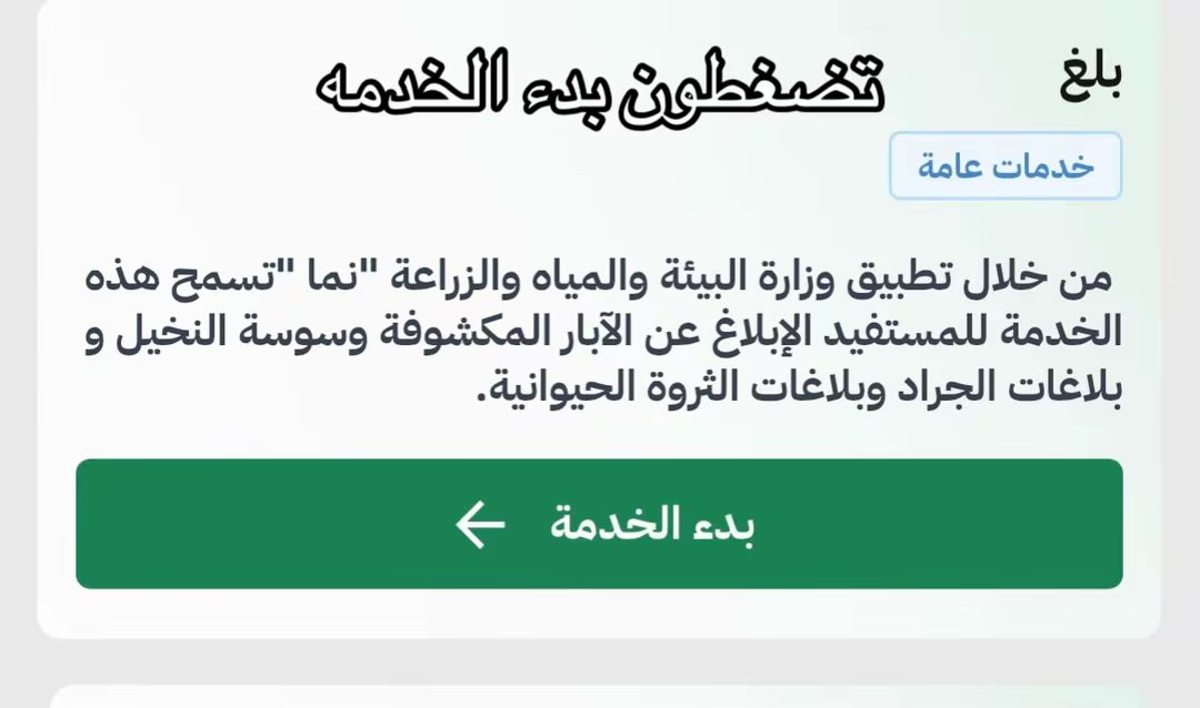 rdl7_7's tweet photo. #بنقالي_يعذب_القطط_في_السعودية 

طريقة البلاغ https://t.co/PbCDG021Yk