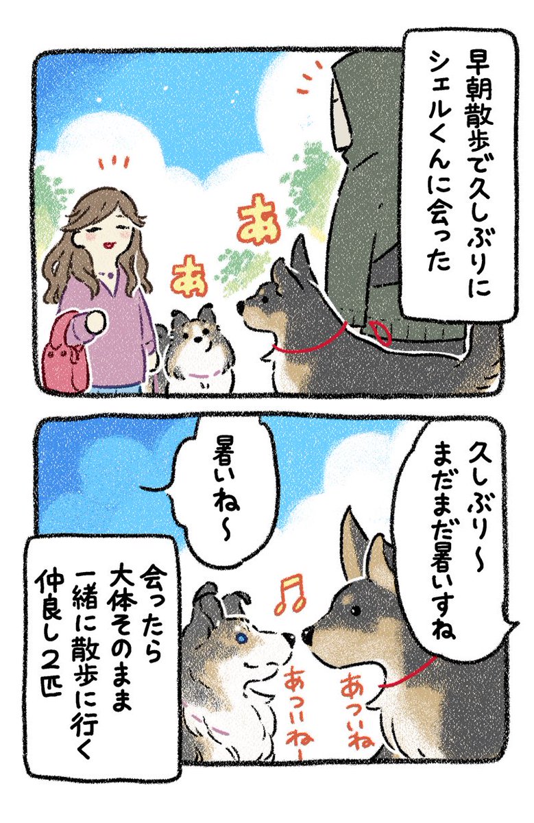 yosimofurou's tweet photo. おあつい犬漫画① https://t.co/6qRnTKWfPO
