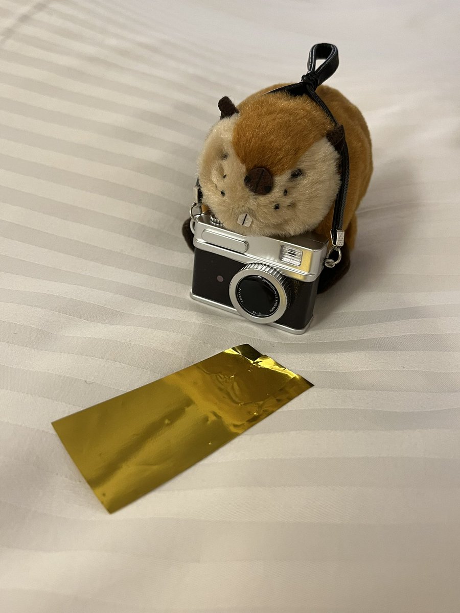 hotcakemix_gnu's tweet photo. 22ゲート27通路１階スタンド13列目
思ったより近かった✨
SUPERBEAVERが東京ドームだよ！
昔を知っているわけじゃないけどすごくグッときた。
ライブ終わってからもキラキラが綺麗だった💫
余韻。

#SUPERBEAVER https://t.co/XfnXSzWIGQ