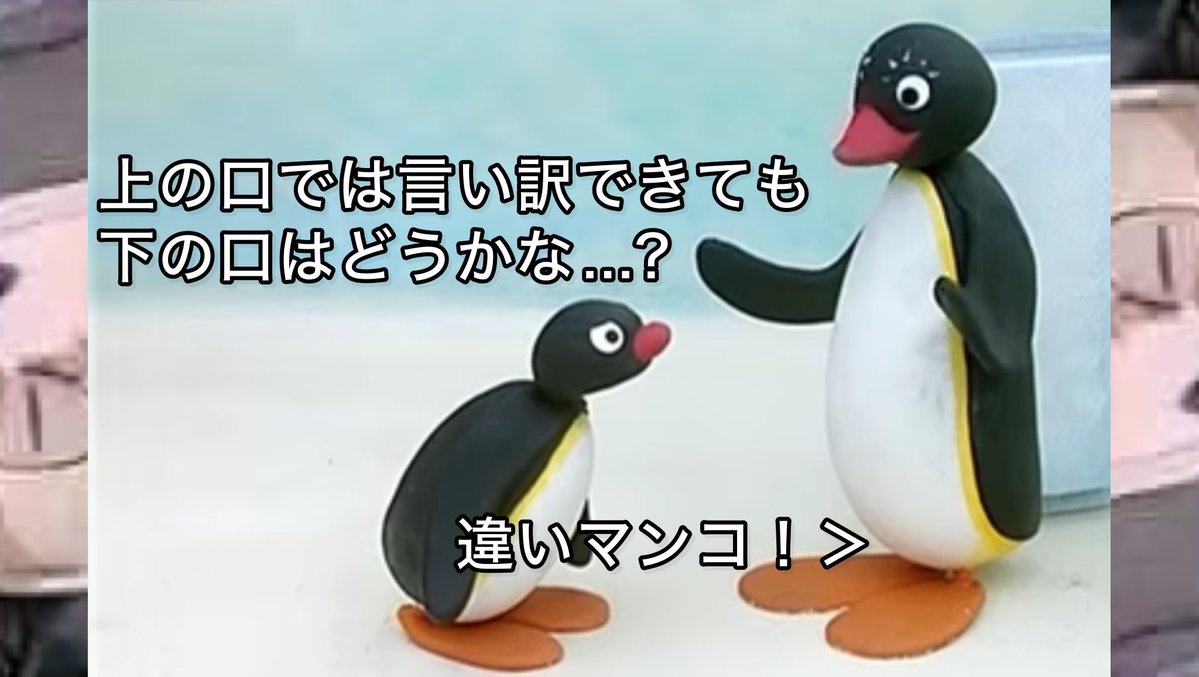 pingu_Archive's tweet photo. https://t.co/VXElVS8mmw