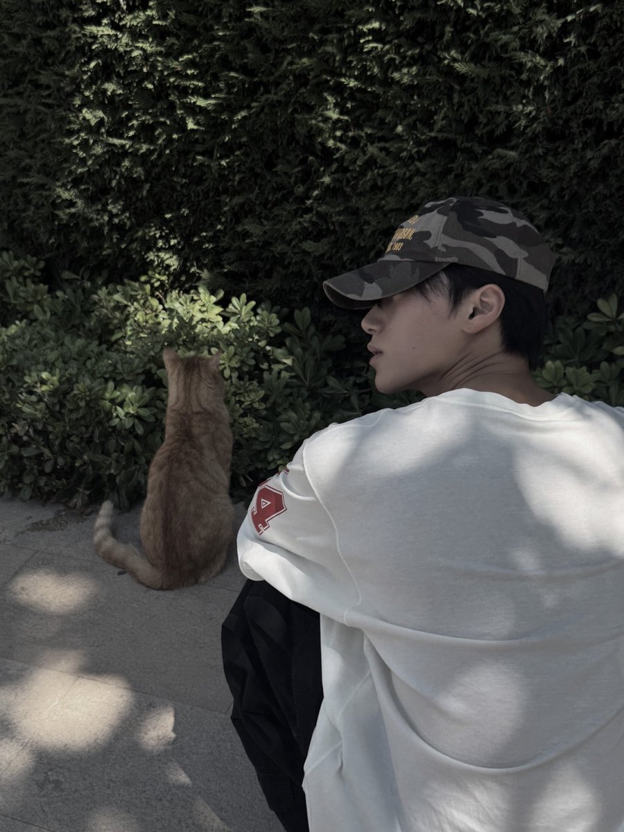 Chioi3an's tweet photo. Say hi to my new furry friend? 🐈 https://t.co/I7DkUEZNBk