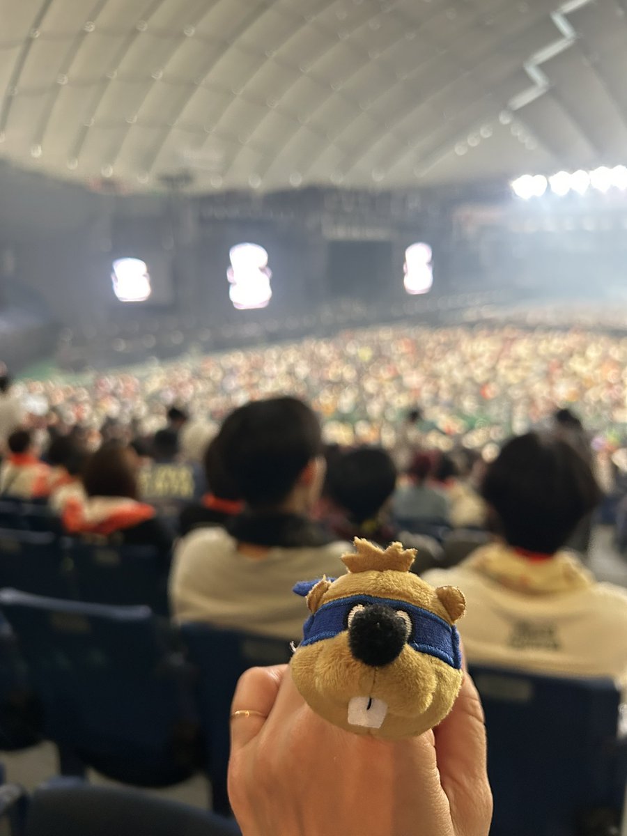 ekkunousama's tweet photo. ビーバー最高でした。
東京ドームでの1曲目があの曲って、泣いてしまった。
やめないでいてくれて、私たちを大切にしてくれて、ありがとう。 https://t.co/QztSgW9Nc2