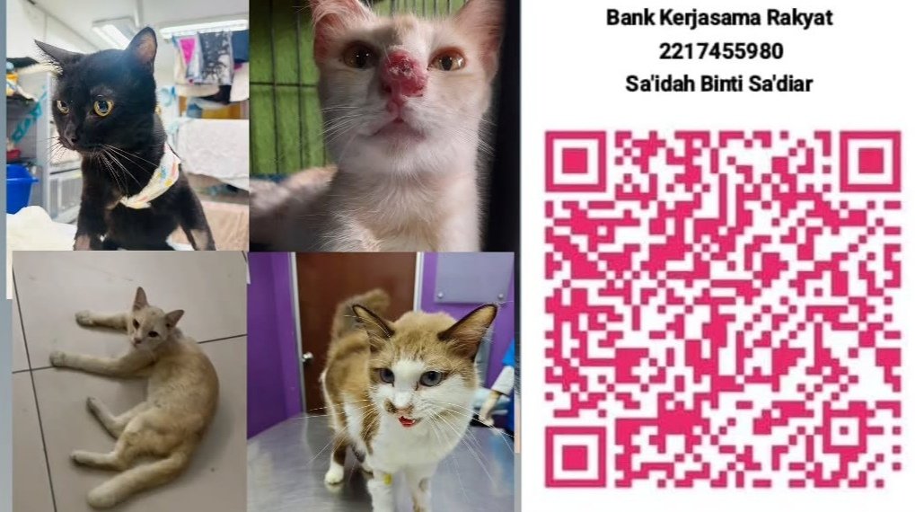 478Ida's tweet photo. ALHAMDULILLAH 😭🤲🏼

RM962 received today ❤️
Still needed: RM4,301.05🙏😭

🐾 Apoh • Mia • Bulan • Bobby

Jazakumullahu Khairan to everyone who donated, reposted &amp; kept them in your doa. 🤲🏼

🚨 Please help us clear these before October.

Even RM5 helps.Please repost🙏🥺 https://t.co/nC2BjZFMxZ