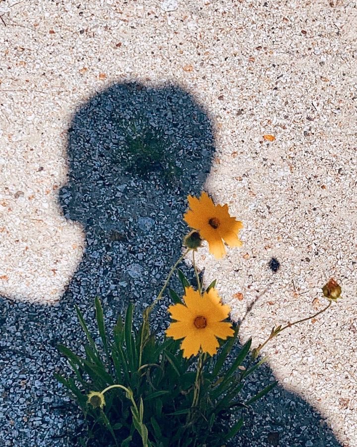 KyeomsBaekery's tweet photo. you can’t even see his face and somehow dokyeom’s happiness still comes through🖤 https://t.co/gGkO3BM7X1