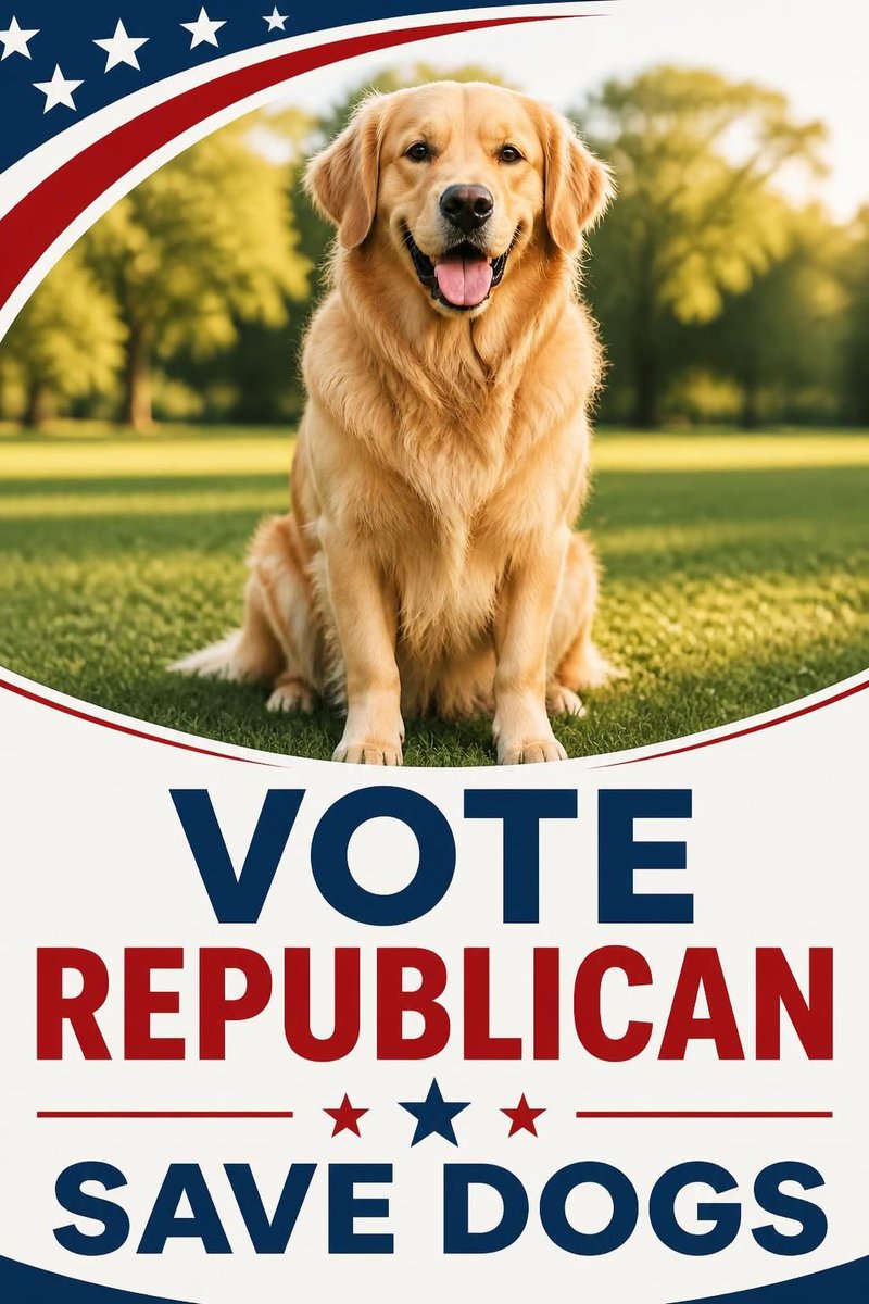 BehindUnk's tweet photo. @TRobinsonNewEra OPINION
Please
#SaveUS 
HOW?
STOP🛑
“Red Green alliance”
BAN SHARIA
ALSO #SaveDogs
WHY?
Islam FORBIDS
MOST #DOGS
I now own a #dog,
Bf when married Muslim, he HATED dogs bc Islam forbid💔
PLEASE🙏 I BEG
#VoteRepublican 
#VoteMidterms
#SaveDogs🐶
#SaveFREEDOM
#Save #NYC #California https://t.co/ssBtypFrlh