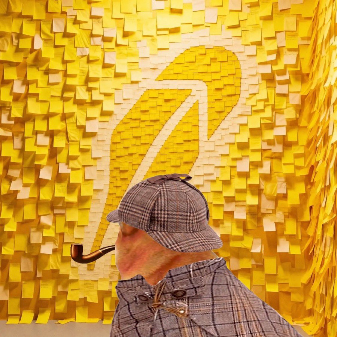 vpradana's tweet photo. @cryptomanran hard part afoot. Pipedog keeps the pipe steady.  most splendid https://t.co/0KcxzNmCcl