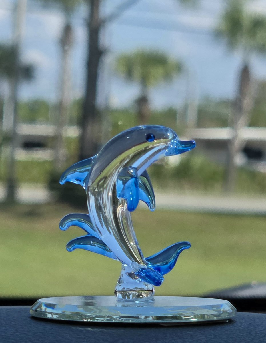 CircletHalo's tweet photo. My newest Glass Baron collection, the Dolphin 🐬 💙. I collect them when I'm traveling. I left Saturday for Arkansas and returned back to Florida Sunday night
Shop Glass Dolphin ⬇️ https://t.co/38fl3djbnD
(Paid Link) https://t.co/ISccRF3F3o