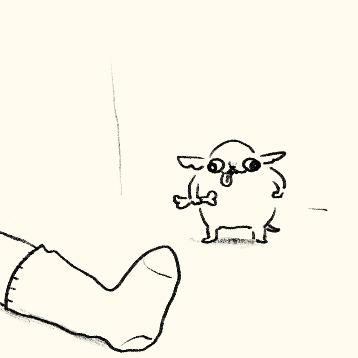 riposhima's tweet photo. 靴下を狙うチワワ https://t.co/WqsMllxYcN