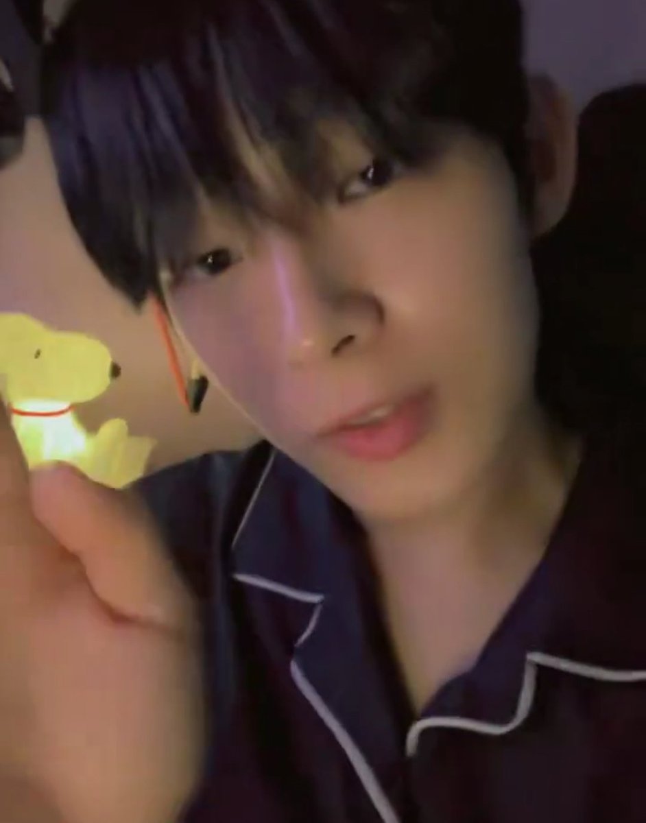 FireflyMuffin's tweet photo. You goofy ass still pretending to be a Firefly? What does this Snoopy lamp represent if you actually know Steven's lore? Answer swiftly, hoe. https://t.co/jxX3D7ekJd