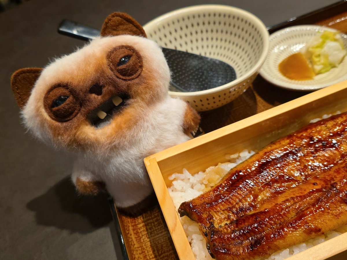 ImpulseOf's tweet photo. ヨーパー
親近感を覚える
#fuggler #BabyFugg #ALLEYCATS #YAWPER #ファグラー #ぬい活
#ファグラーとの生活 https://t.co/Fud5y72fYM
