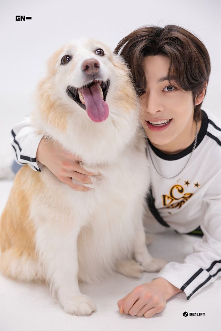jakeyclub's tweet photo. op asked jake whether he’d rather turn into a dog or have layla turn into a human, and jake chose the first one. he said, “cause i’ll become her best friend.” 🥹🫳🏻 https://t.co/CmNq5P5xVJ