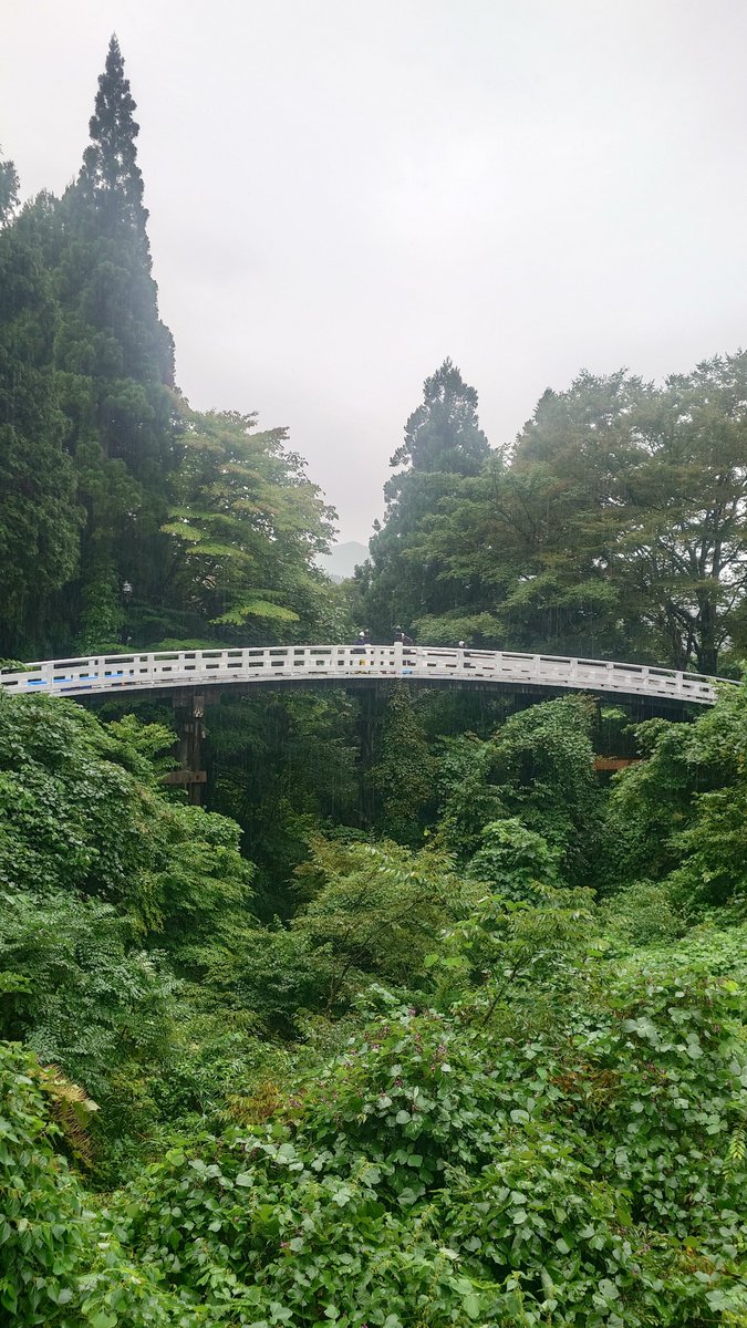 goshuinchou's tweet photo. 本年の9月27日(日)に富山県立山町芦峅寺の姥堂川にかかる布橋にて3年に1度の「布橋灌頂会」が行われます。その山中に浄土と地獄があるとされた山岳信仰の山である立山の奥へと向かうこの布橋は、元々は移動用の長い橋であったが、山中他界の立山信仰の隆盛と共に特別な意味が持たされ、此岸と彼岸、三途の川を渡って浄土へと行く橋に擬された。

やがて女人禁制であった立山では山内へ入れない女性の為にその救済の儀式「布橋灌頂会」が行われるようになった。白の死装束を着た女性達が目隠しをして橋の袂の閻魔堂に参詣した後に僧侶の先導で布橋を渡り、山の神である姥神を祀る姥堂にて灌頂儀礼を受けた後に目隠しを外して解き放たれて橋を戻る、という次第。

閻魔の裁定を経て彼岸へと至る橋を目の見えない状態で渡り、女神の山姥の祝福を受けて天台宗の血脈の儀礼を受けて極楽往生を約束される…
という死と再生の疑似体験である。