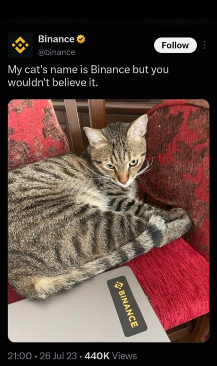 Andsowhat_25's tweet photo. When @binance tweeted about their cat,it was this. 
$binance is binance cat

0xA4Cd53f32336f820E787C25AAa2dF64Aa0A64444 https://t.co/bNZPrdr2W3