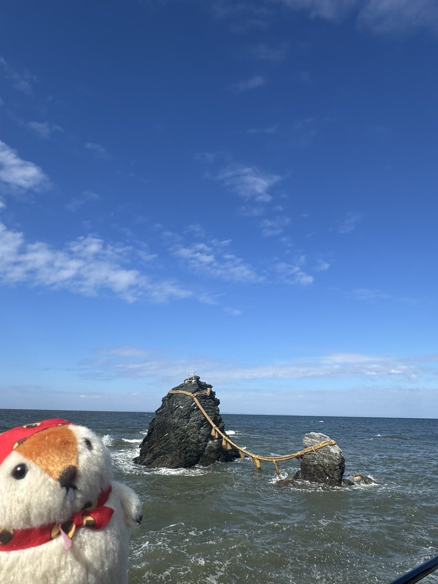 mamomin_aaa's tweet photo. 伊勢旅行たのしかったなアーーー

#マーモットのもっとっと
#マーモットのもっとっと広場
#伊勢シーパラダイス https://t.co/CcNL4HpZY2