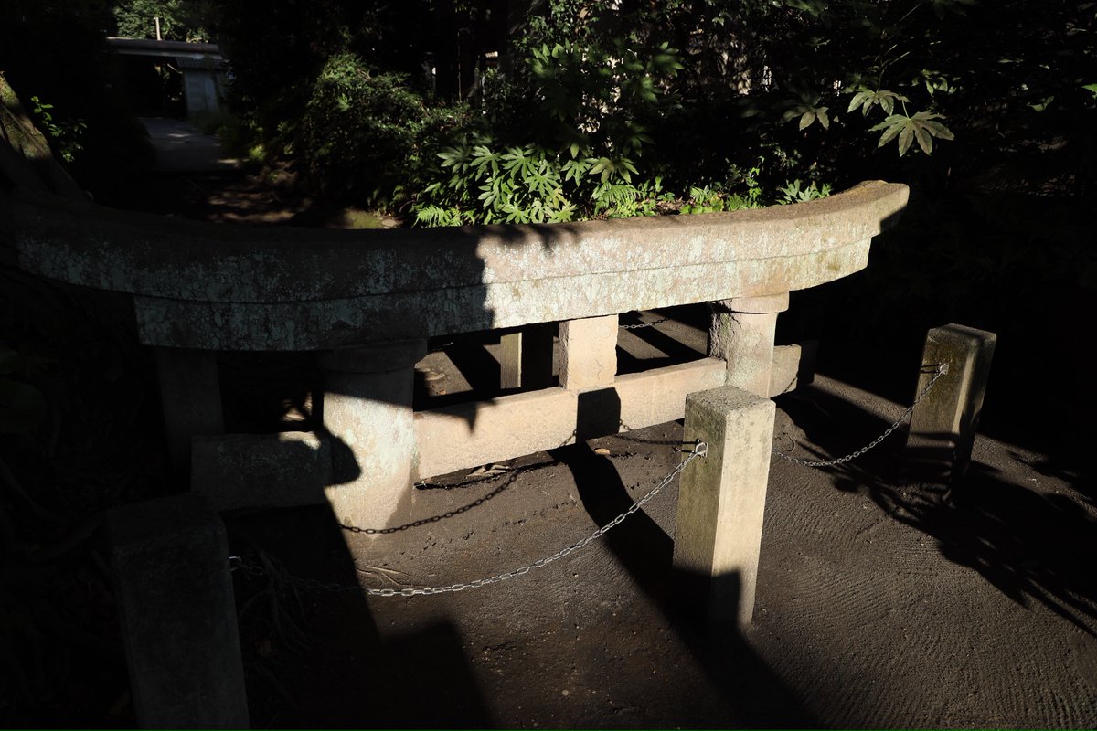 KomaSolo's tweet photo. スケールのデカさとパワーで自然の力強さを感じられる旅でした。ありがとう鹿児島。 https://t.co/6IWu97iZ5S