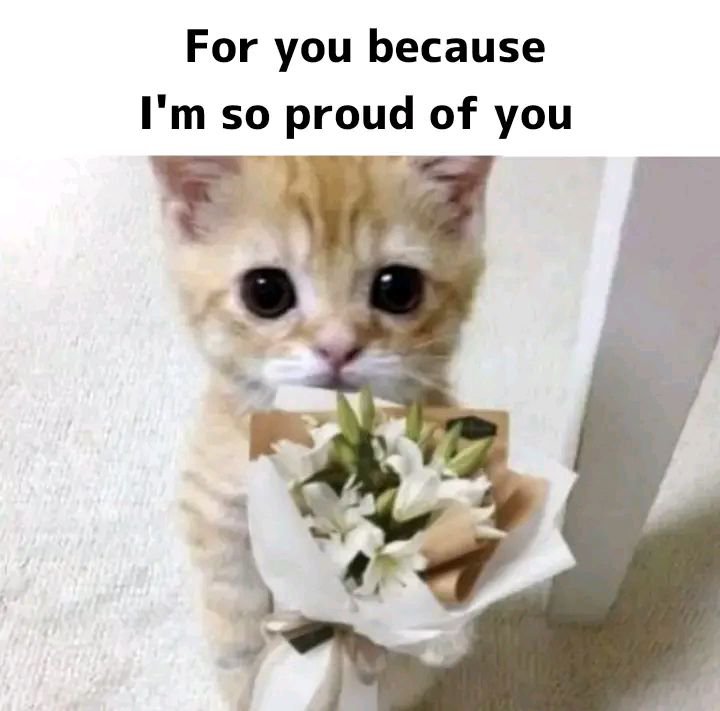 terserahmanda's tweet photo. @thvnyluv IHH gabolehh gituu, semoga Tuhan selalu melancarkan apapun yang pina lakukan.. selamanya 💞 https://t.co/4ro6L6DqtM