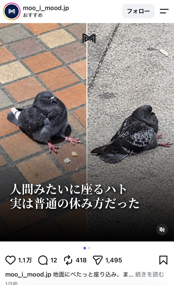 nire023's tweet photo. インスタ開いたらこれでありがとう https://t.co/8xPHXaAgxJ