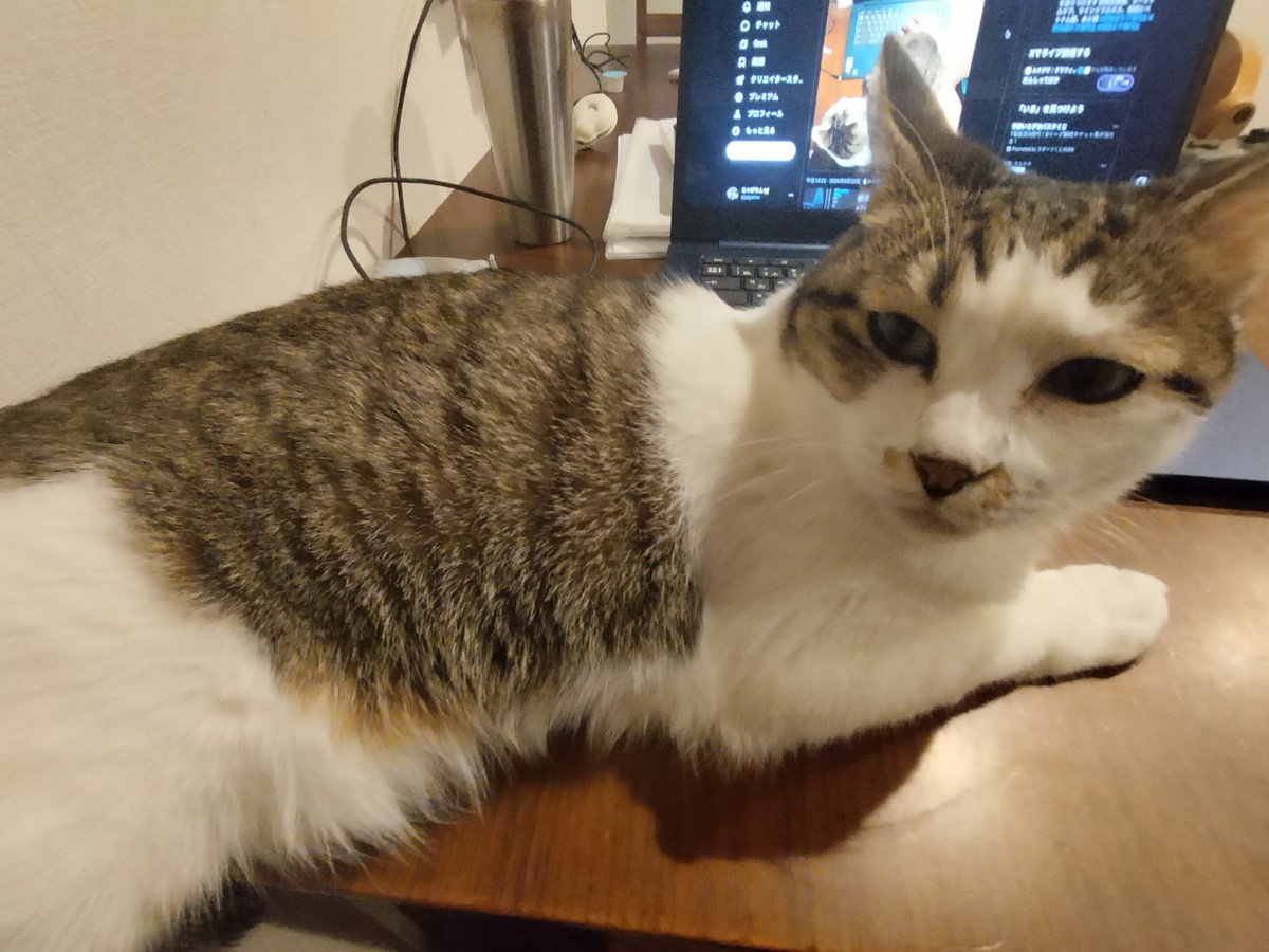 jagarine's tweet photo. 結局こんな具合 https://t.co/f84FMtAyBi