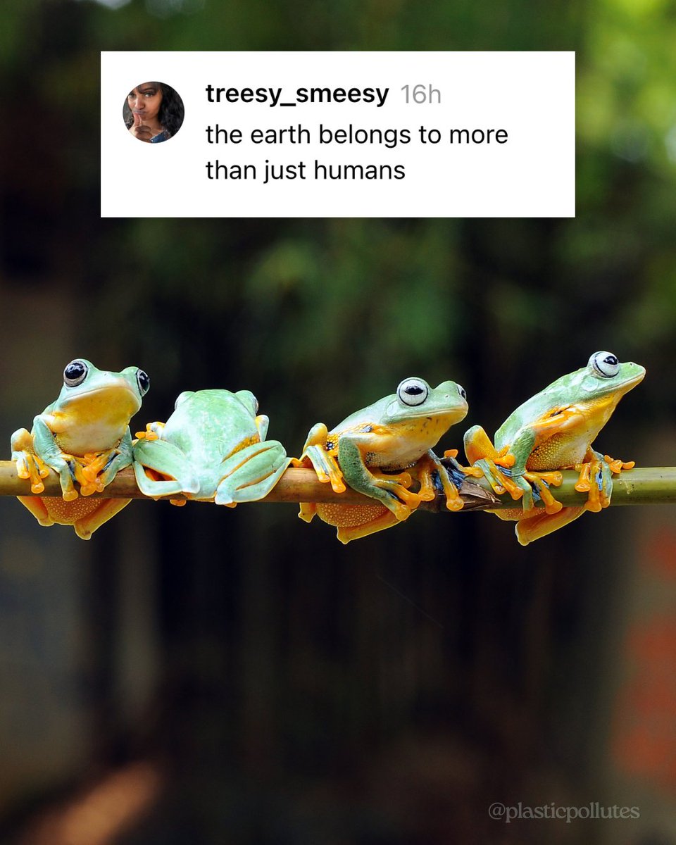 PlasticPollutes's tweet photo. Good reminder  🐸 🐹 🌳 🌊 ⛰️
#NoPlanetB #Earth https://t.co/yOZiIDAPcr