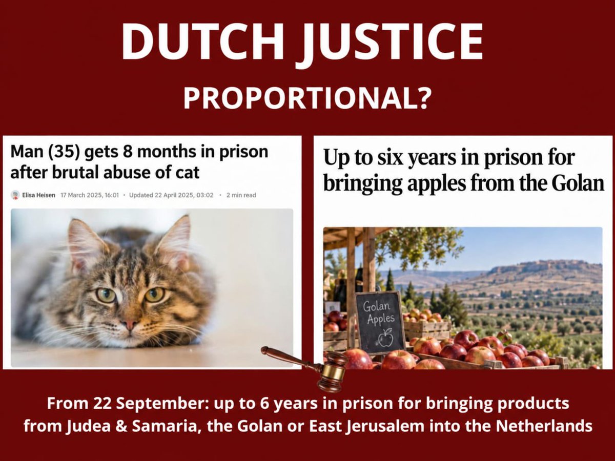 DafiDanenberg's tweet photo. What is worse: abusing a cat, or buying wine from the Golan Heights? https://t.co/CVi5bSmTjx
