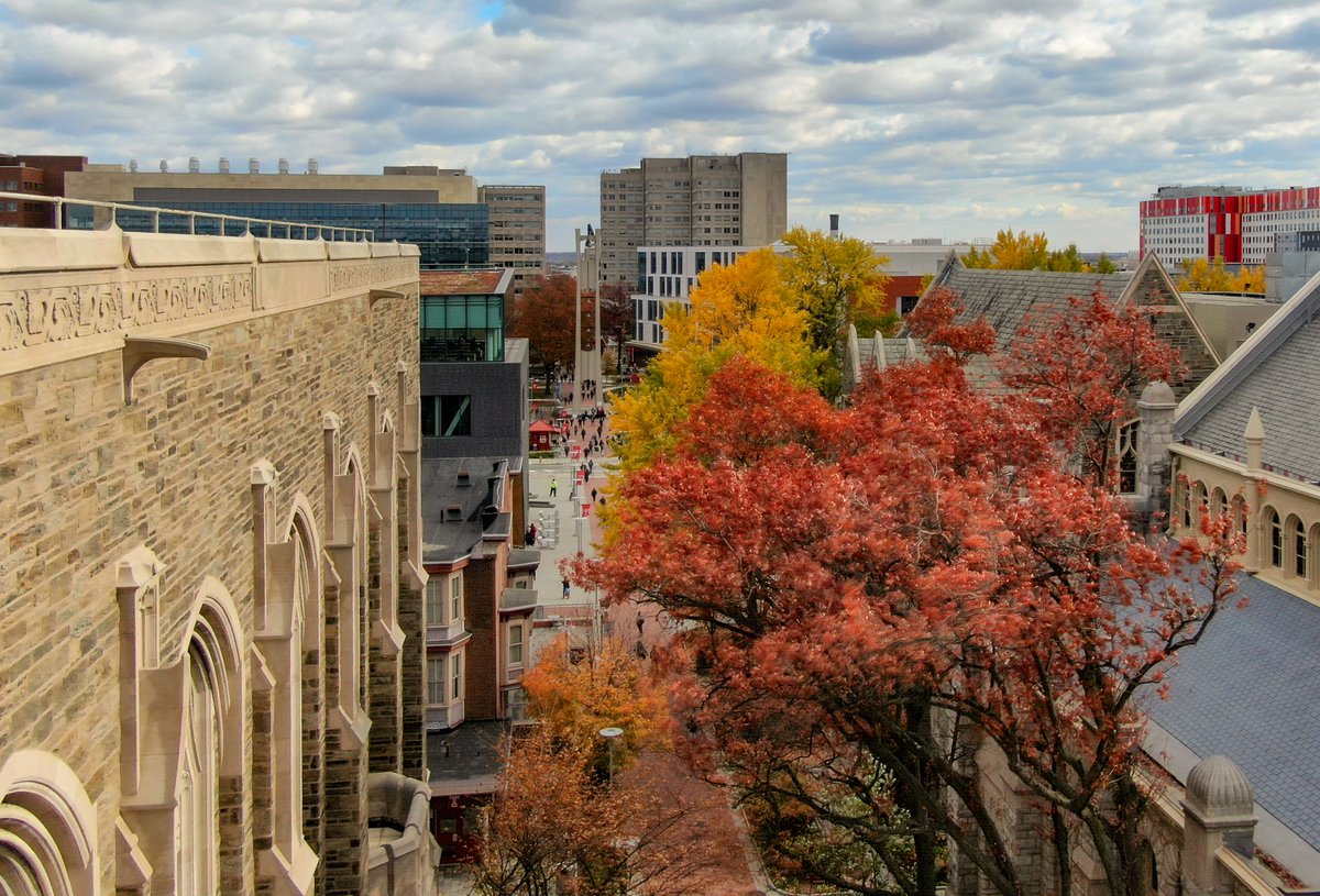 templecehd's tweet photo. Some things never go out of style, like fall on campus 🍂 #HappyFirstDayofFall #FallArchives https://t.co/IoyFT6F9nX