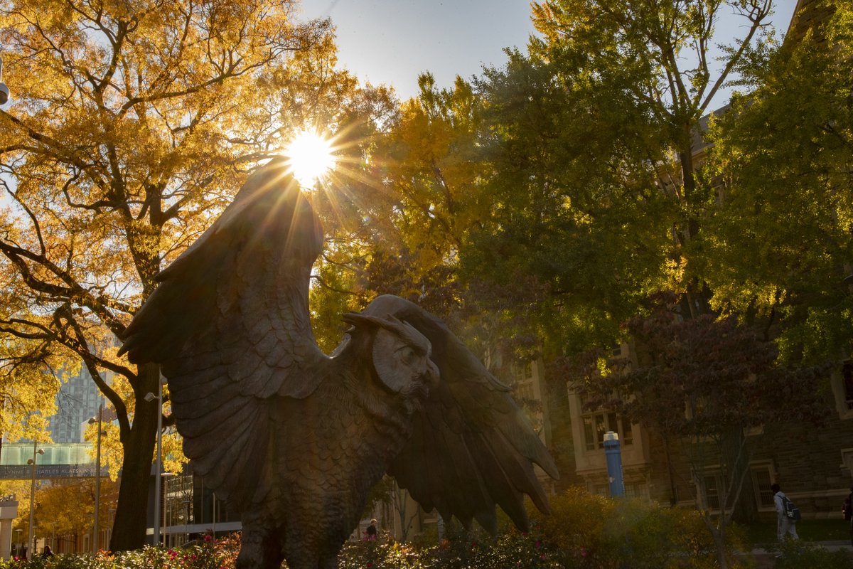 templecehd's tweet photo. Some things never go out of style, like fall on campus 🍂 #HappyFirstDayofFall #FallArchives https://t.co/IoyFT6F9nX