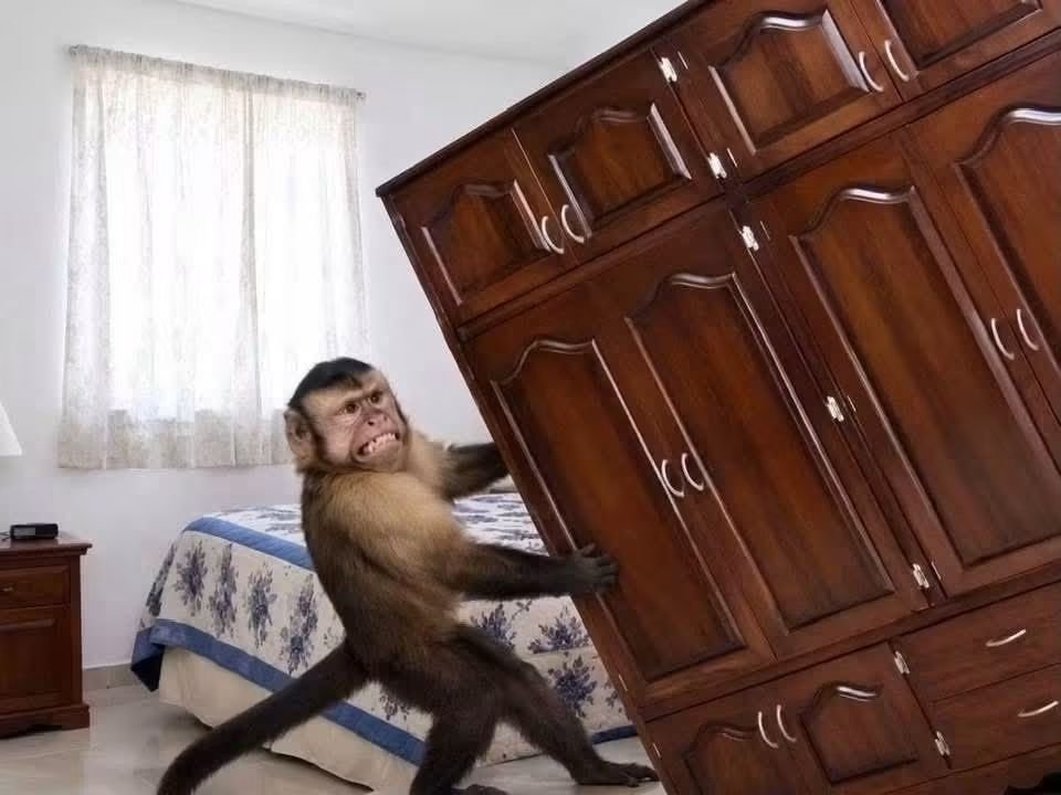 angelo_uf's tweet photo. -Alguien: ¿porque no respondes?

-Yo: https://t.co/MXe9yMae1z