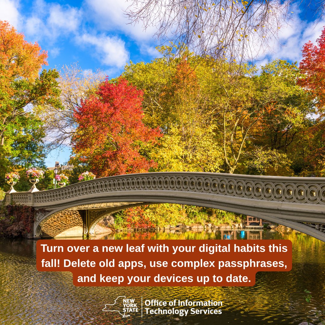 NYSITS's tweet photo. As the leaves begin to change, it’s the perfect time to turn over a new leaf with your digital habits! https://t.co/cZsZq4EiEv
