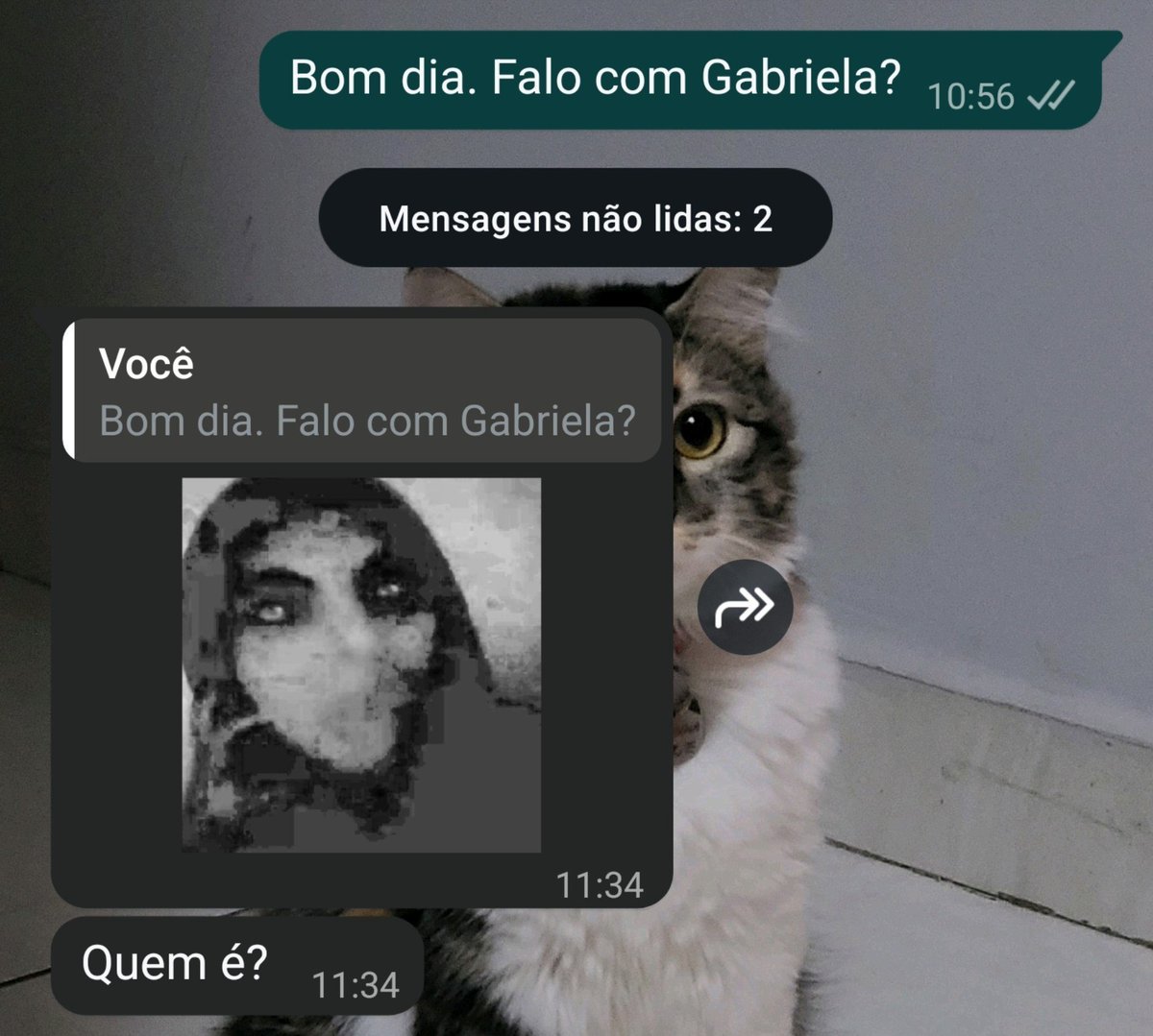 imgleeky's tweet photo. tive que mandar mensagem pra uma desconhecida mas só na resposta descobri que é das minhas https://t.co/oCZIM7VNCb