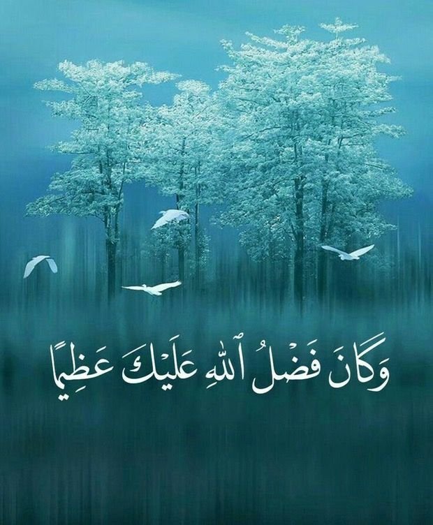 MohammedAl28831's tweet photo. اِطْـمَئِنَّ، فَمَـا كَتَبَـهُ اللهُ لَكَ سَـيَأْتِيكَ، وَمَـا صَـرَفَهُ عَنـكَ فَـفِيهِ خَـيْرٌ لَا تَعْـلَمُهُ. 🌸 https://t.co/MgCysXLSQR