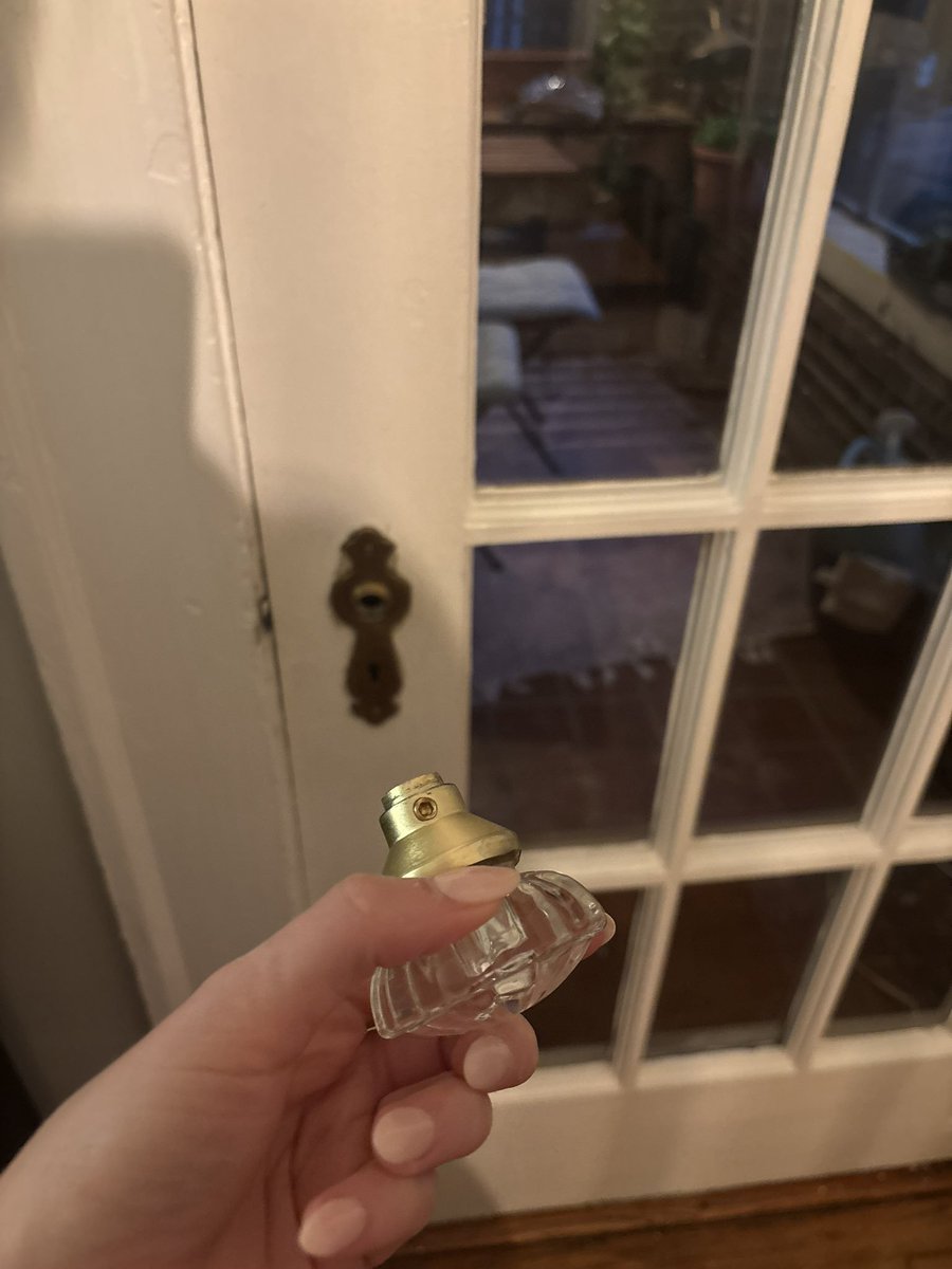 Amelia1sjo's tweet photo. I hate being someone who’s always in a situation but I went to get basil from my patio and my doorknob fell off?? Anyways (not quite) caprese salad chicken cutlets for dinner https://t.co/ONA1Q1KDkW