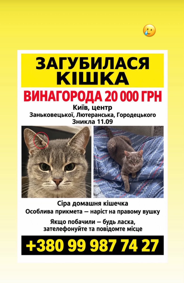 irena_druzenko's tweet photo. Киів, центр! Максимальне поширення!!!! Я говорила з людьми вони шукають день і ніч https://t.co/pquS796kgW