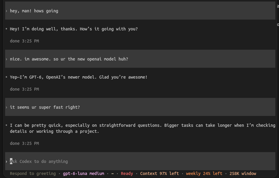 vibcodr's tweet photo. liked new CLI UI with status+timezone @OpenAI https://t.co/RbO4L8vLzh