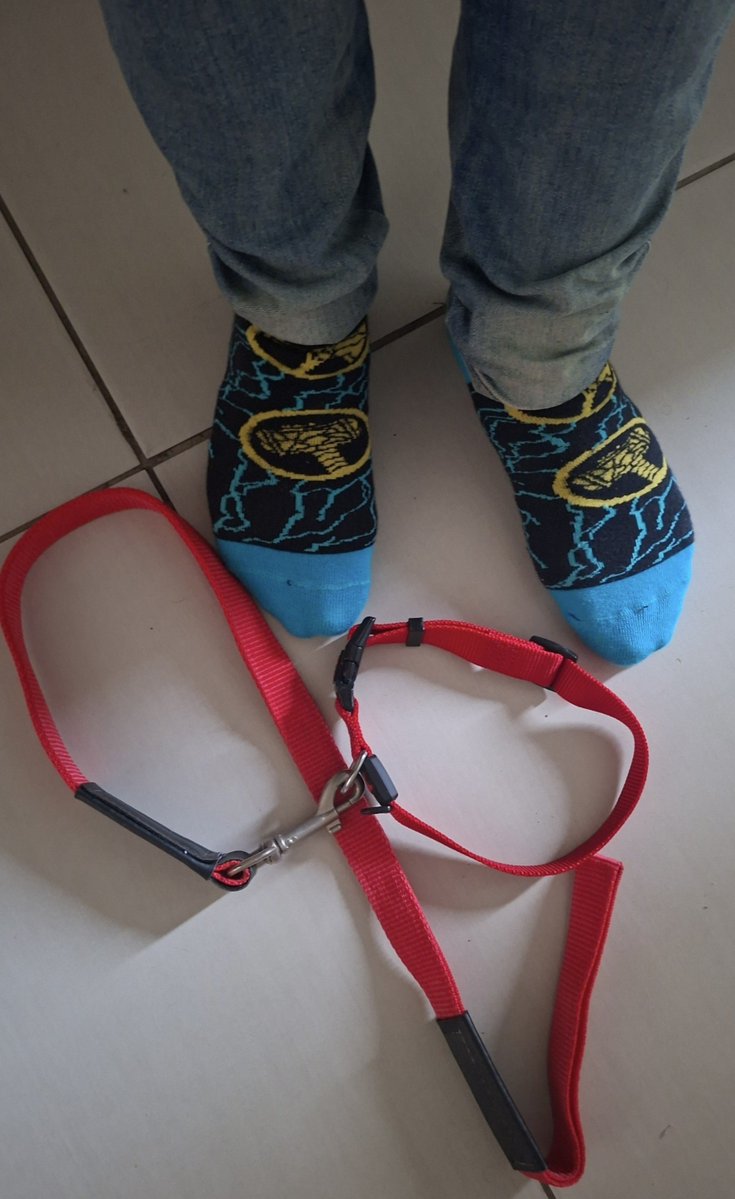 RobsonSincjstx's tweet photo. Findom é simples: você entrega seu dinheiro e o controle das suas finanças pra mim.
Eu decido. Você obedece.
Se sentir prazer em ser usado, humilhado e ver seu esforço virar meu luxo… então você já sabe o que fazer.
Paypigs sérios, me procurem. 💸👑#findom #cashmaster https://t.co/bcoH6Kjrbq