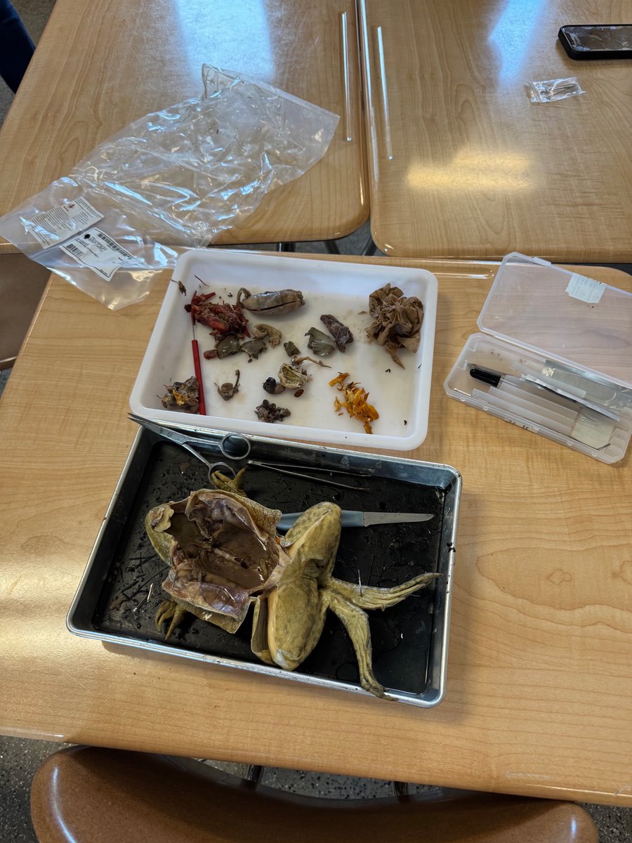 CHChargers's tweet photo. Science is happening @ C’s House. Go Dr. Panda! https://t.co/GS9CskBNYg