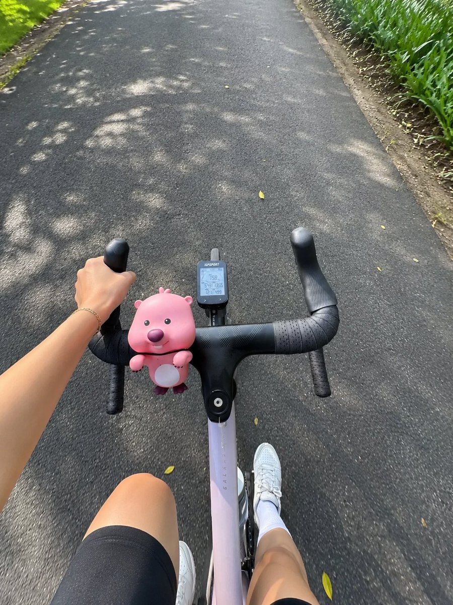 Ykodfjde's tweet photo. There is something special about riding a bike with no rush, just feeling the breeze and appreciating the beauty around me. https://t.co/Mp7ii7Y0t1
