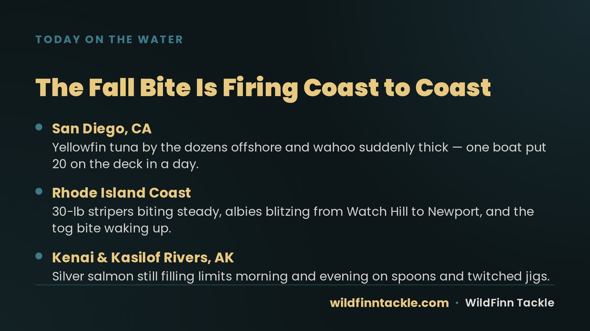 WildFinnTackle's tweet photo. Coast to coast, the bite's on: San Diego's stacked with yellowfin and wahoo, Rhode Island's running big stripers and blitzing albies, and Alaska's Kenai/Kasilof rivers are still handing out coho limits morning and night. Where the Wild Meets the Water. https://t.co/f6EzqJdr5m