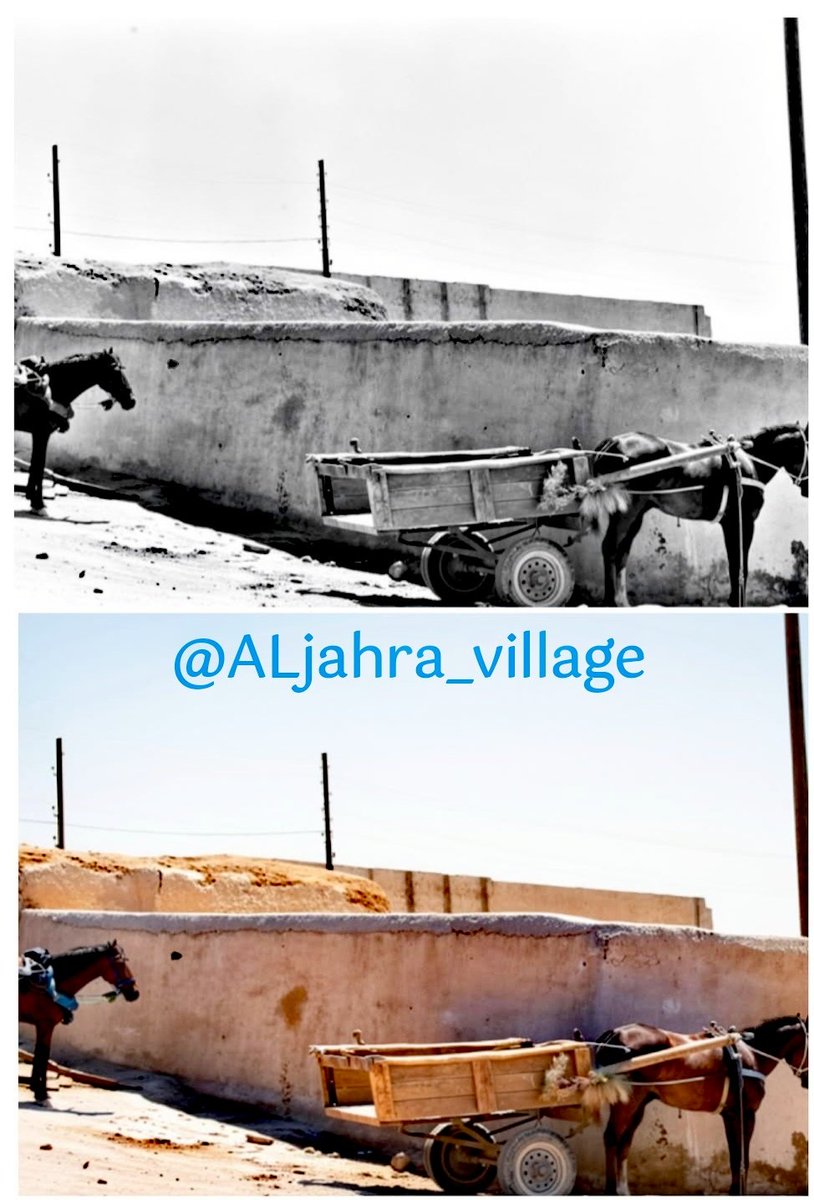 ALjahra_village's tweet photo. صور من وسائل النقل في
#قرية_الجهرة
نشرتها مجلة النهضة سنة ١٩٧٤م
الإهداء من أرشيف
أ. عواد فرحان الشمري
- يرحمه الله تعالى -
#الجهراء
#الكويت 🇰🇼 https://t.co/ue60h6A5WH