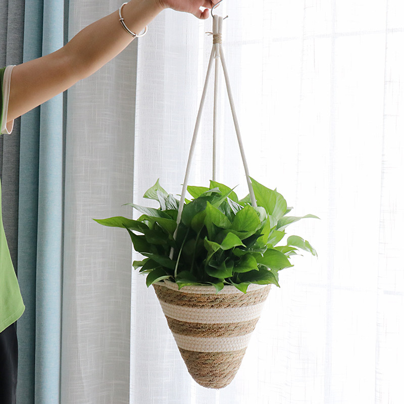 not_semprul's tweet photo. Just finished my first macramé plant hanger!  Used cotton cord for a boho vibe—my pothos is already loving its new cozy spot. Anyone else into DIY decor ， https://t.co/FMypHP9LHj