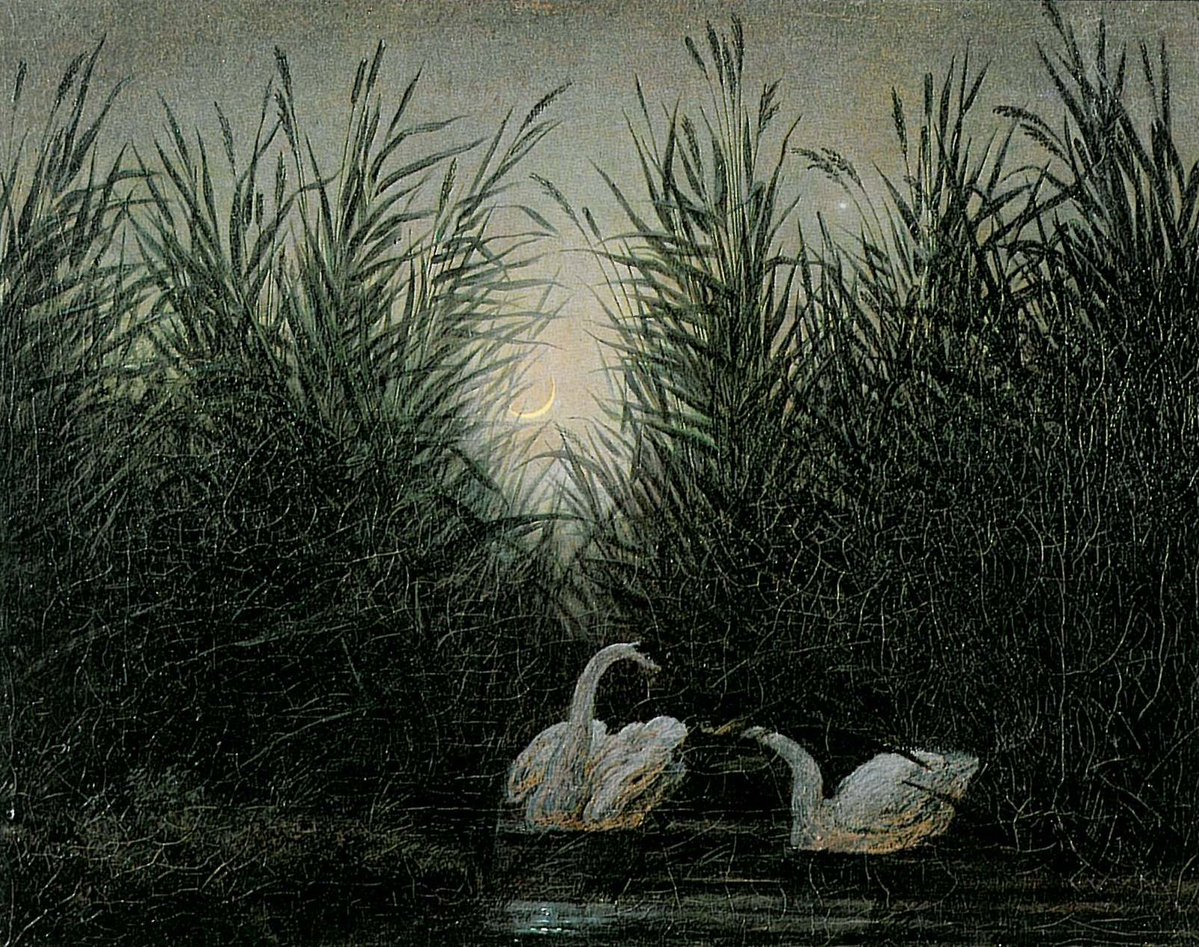 HistofPainting's tweet photo. #HistoryofPainting 
Caspar David Friedrich (5 September 1774 – 7 May 1840) was a German Romantic landscape painter,

Swans in the Reeds, circa 1820

Collection
Goethe House

Source/Photographer
Self-scanned
​#FreeArtExhibition #TheNewPainting https://t.co/sf1O2NaT1y