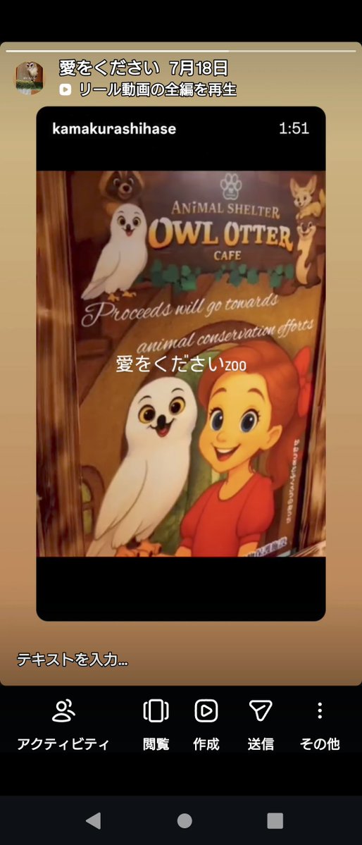 qjcmpn's tweet photo. @j04yo カワウソに餌をあげる写真、フクロウの子供の写真、それらがいる、鎌倉長谷の施設、近所の猫カフェの猫（小さくて耳が長い懐こい） https://t.co/HauacWtXHh