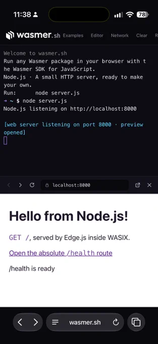Node.js running fully on Safari in iOS