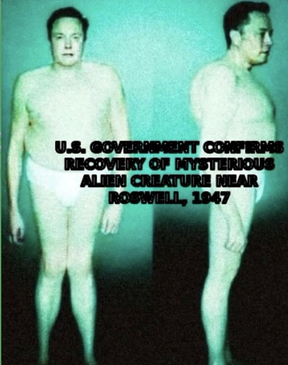 mousetrapchedda's tweet photo. i sent this to my mom whose been obsessed with aliens and she said she’s gonna do more research 😭😭 https://t.co/494vuZsAln