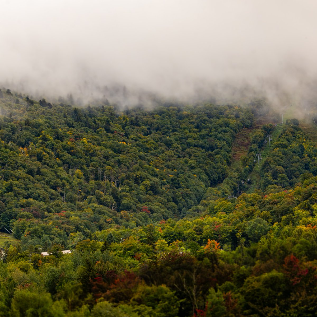 KillingtonMtn's tweet photo. The best way to leaf peep? From two wheels 🍁🍁

Fall laps are hitting different right now and the stoke is only growing. The K-1 Gondola spins daily for mountain biking September 24 through October 12.

Take it up🚡 Take it in 🙌 Send it down⛰️

#bethebeast #killingtonbikepark https://t.co/xFOLxhQAen
