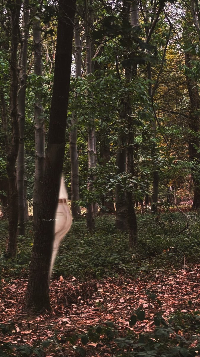 nalu_slayer's tweet photo. Since it’s been three months since we met Valko - I went to the forest today to try & find him 😔

I wandered for hours. I called his name. I even brought his favourite snack (chocolate). 

There was no sign of him. I was devastated 💔

Until I checked my camera roll…

#BringValkoBack #ValkoIsLoved