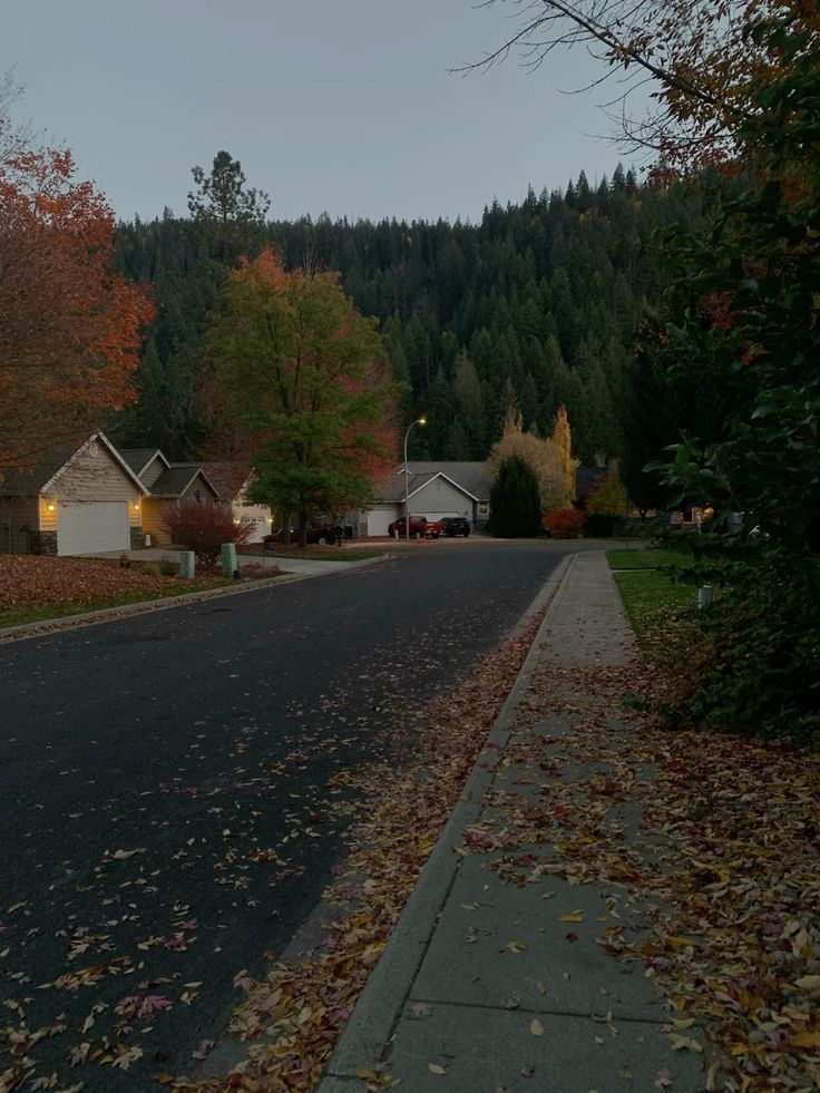 greenvibe's tweet photo. Fallen autumn leaves cover the sidewalk and the edge of the quiet street. https://t.co/CAtLg6XkKD