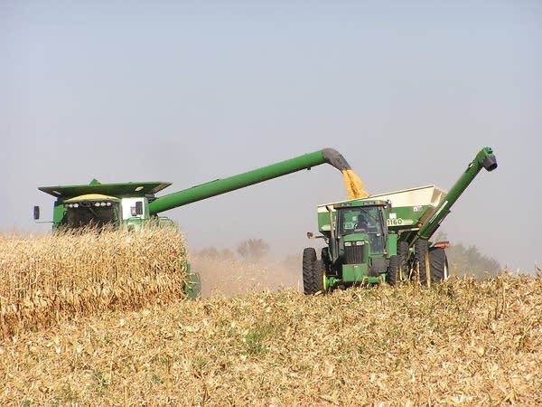 SenTinaSmith's tweet photo. It’s not just a question of how long farmers can hunker down and endure high diesel prices. It’s a question of how many farms will go under because it’s just too much. https://t.co/WjQFDNmeQJ
